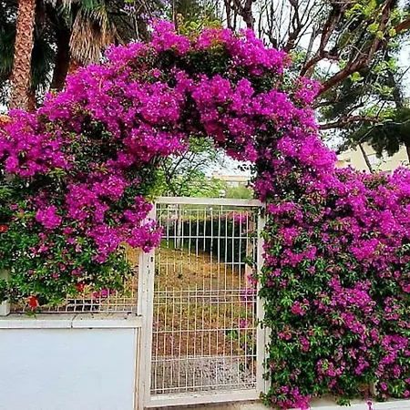 Golden Pineda Family Complex With Parking * Salou